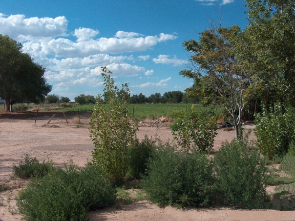 Property view, facing north
