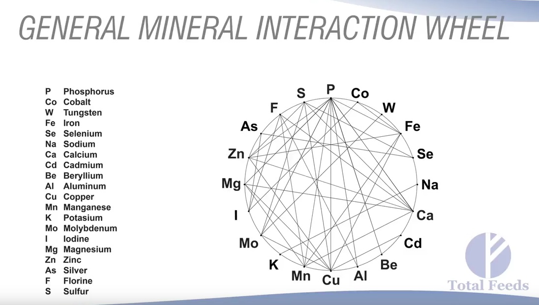 Minerals What Are They and Why Are They Important? VB Farms Home